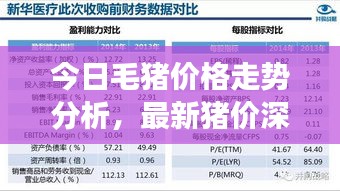 今日毛猪价格走势分析，最新猪价深度解读