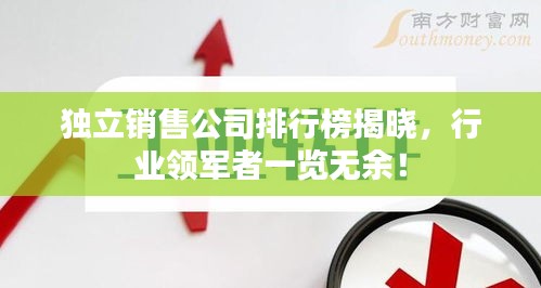 独立销售公司排行榜揭晓，行业领军者一览无余！