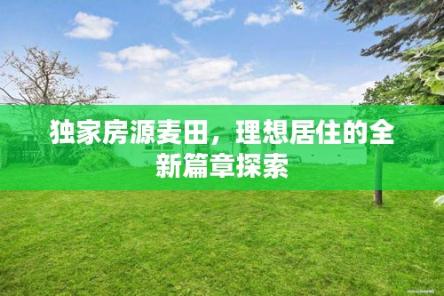 独家房源麦田，理想居住的全新篇章探索