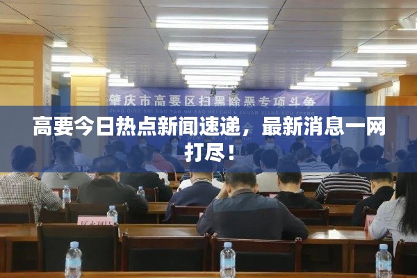 高要今日热点新闻速递，最新消息一网打尽！