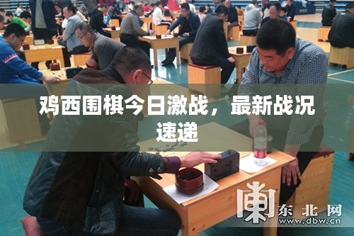 鸡西围棋今日激战，最新战况速递
