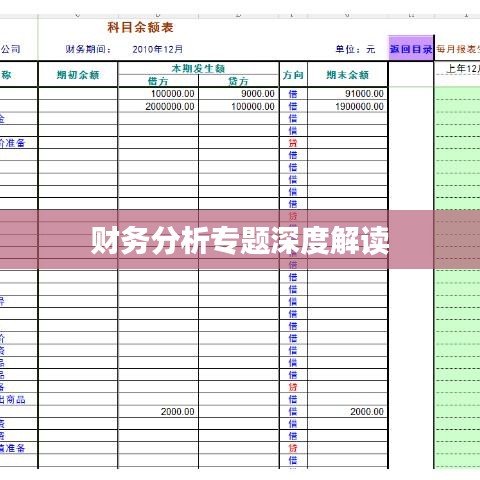 财务分析专题深度解读
