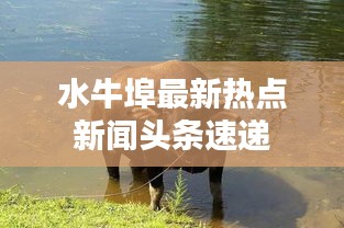水牛埠最新热点新闻头条速递