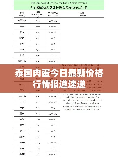 泰国肉蛋今日最新价格行情报道速递