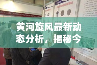 黄河旋风最新动态分析，揭秘今日市场走势