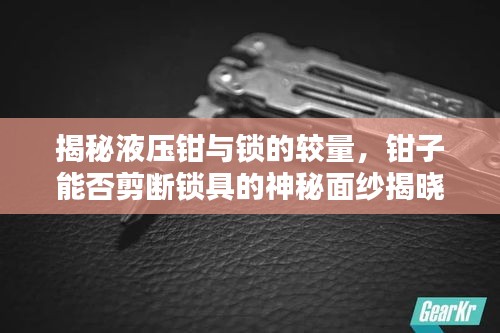 揭秘液压钳与锁的较量，钳子能否剪断锁具的神秘面纱揭晓！