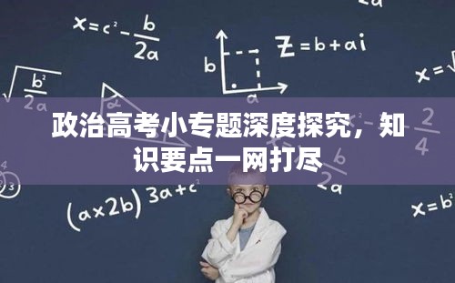 政治高考小专题深度探究，知识要点一网打尽