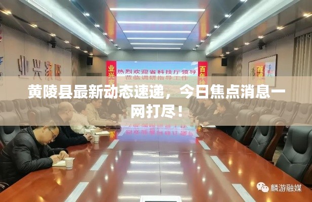 黄陵县最新动态速递，今日焦点消息一网打尽！