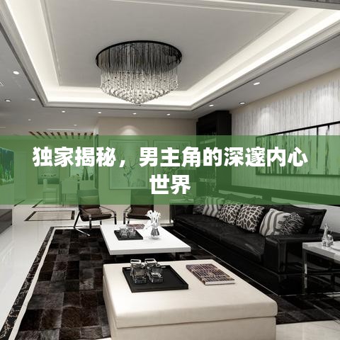 独家揭秘，男主角的深邃内心世界
